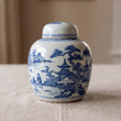 Ginger jar — collectible category example